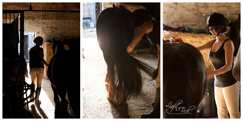 s2012-07-17_002 grooming a pony